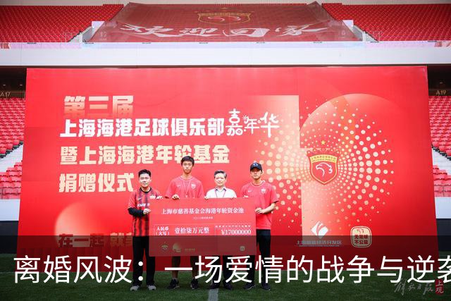 离婚风波：一场爱情的战争与逆袭